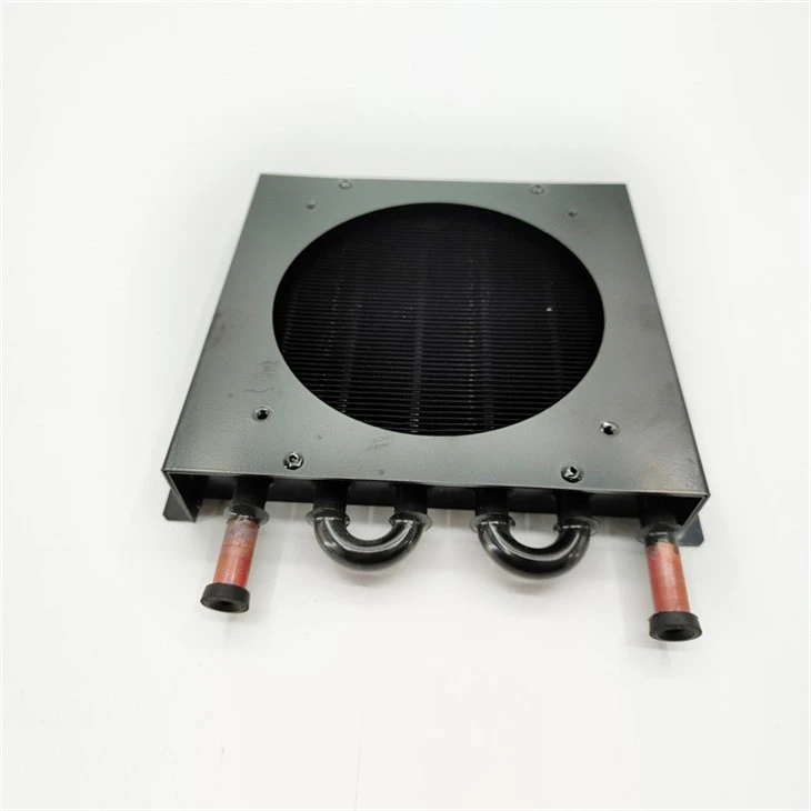 Electrophoresis Corrosion-resistant Condenser